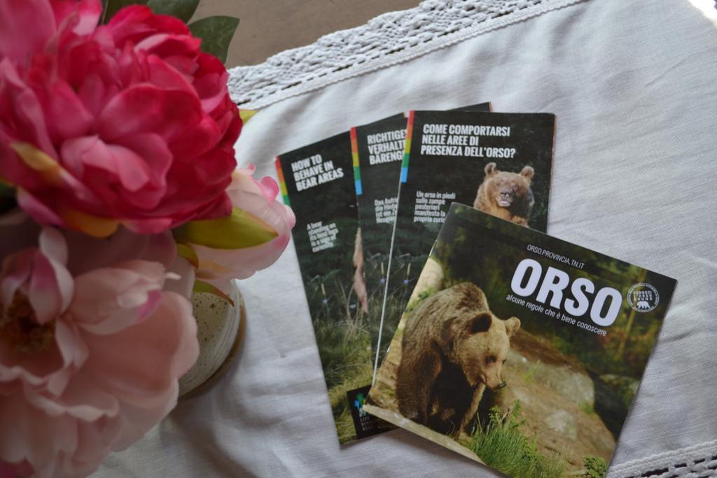 B&B La Tana Dell'Orso - Die Baerenhoehle カステッロ・ディ・フィエンメ エクステリア 写真