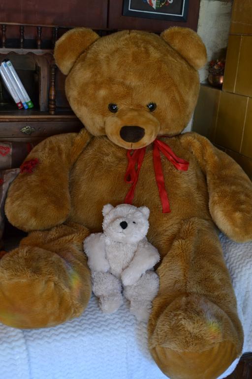 B&B La Tana Dell'Orso - Die Baerenhoehle カステッロ・ディ・フィエンメ エクステリア 写真