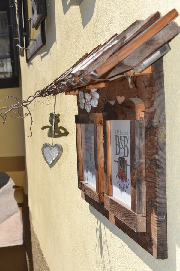 B&B La Tana Dell'Orso - Die Baerenhoehle カステッロ・ディ・フィエンメ エクステリア 写真
